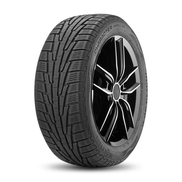 Шины Ikon 225/70 r16 Character Snow 2 SUV (Nordman RS2 SUV) 107R